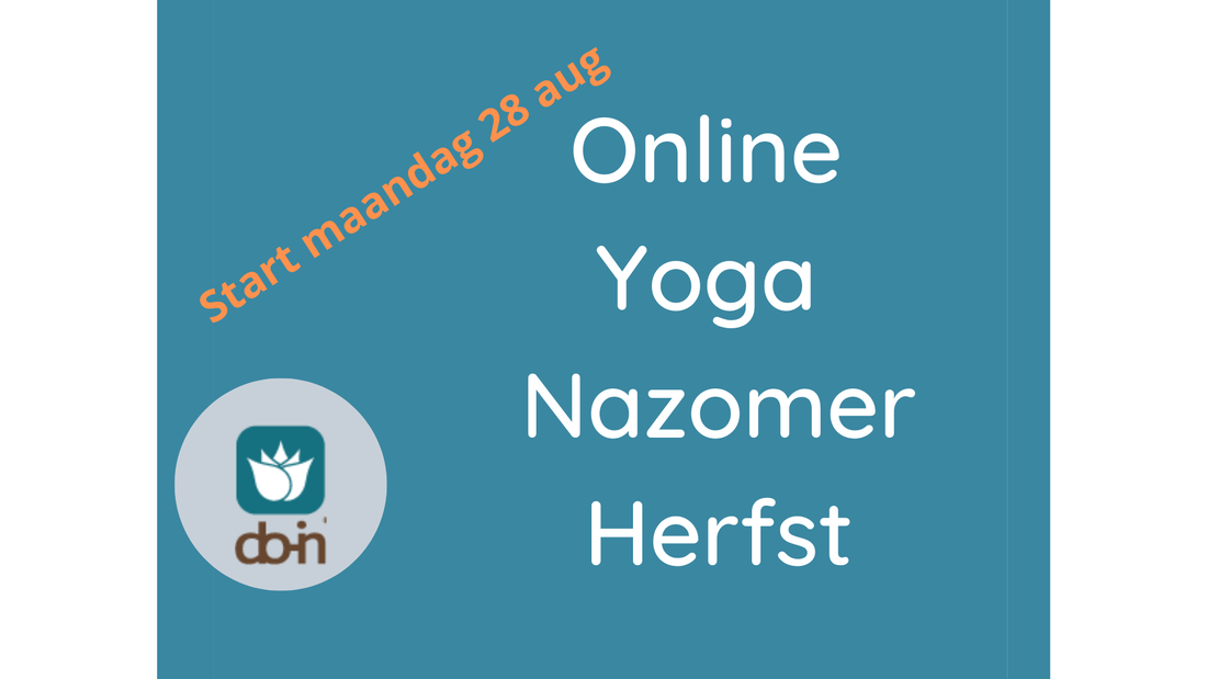 Online yoga Anne Vissers