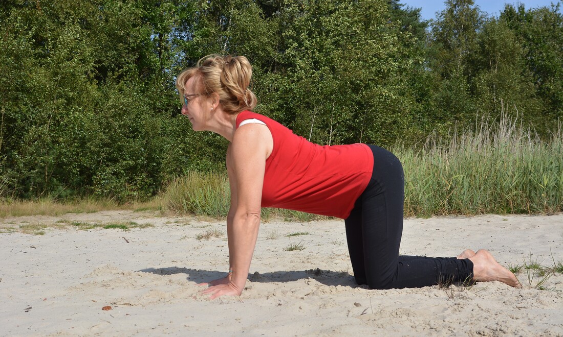 Do -In Yoga Anne Vissers, regelmatige yogabeoefening